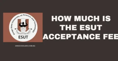 How Much is the ESUT Acceptance Fee for 2025/2026