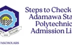 Steps to Check the Adamawa State Polytechnic Admission List